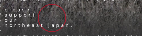Japan will overcome
