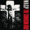 W.A.S.P.[???????????? [p]