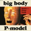 P-MODEL[??????????? [p]