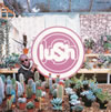 LUSH[?????? [2CD] [p]