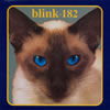 BLINK182[?????c????c???? [p]
