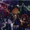 Dir en grey[???