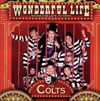 THE COLTS[???????????????????
