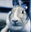 ???????????????p [2CD]