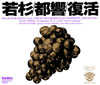 ??????⸂??冪2???]??@???[?[???o. ???????S[? ?????[?A[? [2CD] [p]