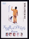 C????????? [DVD]