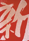 ???⍸???????????????M????c????T??? [DVD]