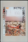???????????????? [DVD]