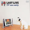 19[??????[? LAST LIVE TV use only [DVD]