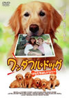 ?????????????????????<?????????'01P? [DVD]