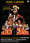 ????????????'73P? [DVD]