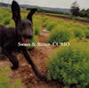 CURIO[???c???[?????