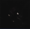 ????????????????????????972 [Ĕ][p]
