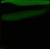 ??????????C?丆????? [2CD] [][p]