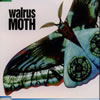 Walrus[?TH