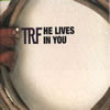 TRF[?????????????