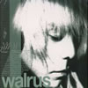 Walrus[????