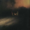 bird[?????????????????