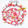 ⶍ??[?st Album SAKURA [p]