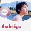 the Indigo[?UE