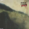 FIELD[?????? [p]