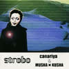 canariya[?MUSHA?KUSHA[?robo [p]