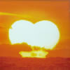 ??????????????????3??the album of LOVE [2CD]