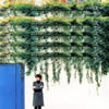 Bonnie Pink[?ke Me In
