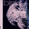 bird[??