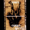 ?????VOICE