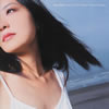 Sea Shell?????????????@?????[?VN[? ??????[?P[?
