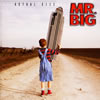 MR.BIG[???????????