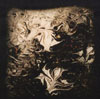 BLACK REBEL MOTORCYCLE CLUB[?READ YOUR LOVE-JAPAN ONLY EP- [p]