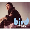 bird[???????