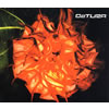 DaTURA[?????? [fWpbNdl]