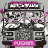 PUSHIM[?NCEHALLIC [CCCD] [p]