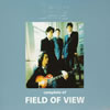 FIELD OF VIEW[?mplete of FIELD OF VIEW at the BEING studio