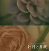???>??????????????????????????ⶇ?Xエ? [p]