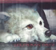 ??WOLF'S RAIN??O.S.T.2[?KO KANNO [fWpbNdl]
