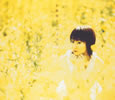 㮊䄷D???[???????-Panorama-