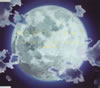 ????? ????????????????????????????Moonlight[?????????[?S.E.N.S.[?