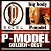 P-MODEL[????????????? P-MODEL[?g body