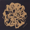 BAZRA[?SSION [CD+DVD]