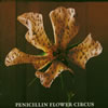 PENICILLIN[?OWER CIRCUS [CCCD]