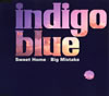 indigo blue[?eet Home[?g Mistake