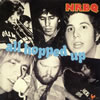 NRBQ[?????????????????? [WPbgdl] []