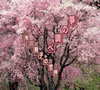 P????[??慽???P???????? [5CD]
