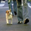 Char[?AMPO [WPbgdl]