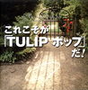 TULIP[????????????TULIP??????????[? The Complete Single Box [21CD+EP] []