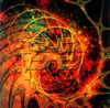 ??????????????[?????????????? [2CD]